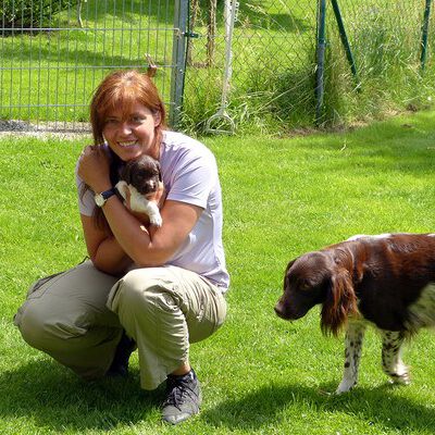 Kleine Münsterländer vom Apfelgarten – Eva Wiese – A-Wurf