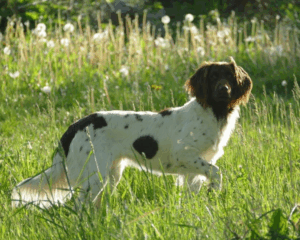 Uschi_3