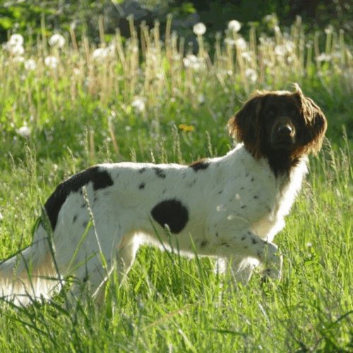 Uschi_3